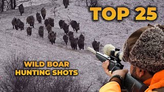 TOP 25 WILD BOAR HUNTING SHOTS [upl. by Enail]