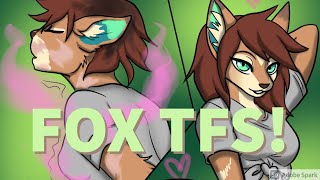 🦊 Fox TFs  Vulpine TF TG part 5  REQUESTED 3 🦊 [upl. by Hpesojnhoj]