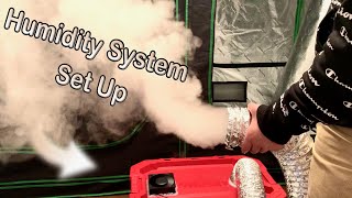 How to Build a Humidity System for Growing Mushrooms [upl. by Alwitt]