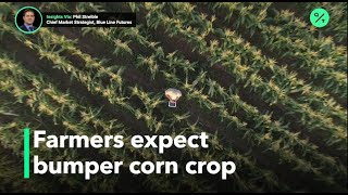 US farmers to see large corn harvest [upl. by Ariajaj]