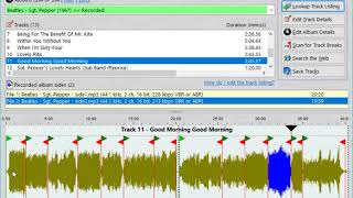 VinylStudio Track Splitting Tutorial [upl. by Anneliese]