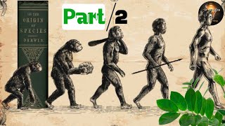 Human Evolution  Part 2  Charles Darwin evolution darwin [upl. by Rozanna]