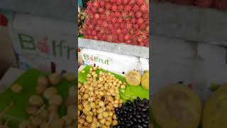 courtallam season fruitsrambutanmangosteenstar fruitramaseethaetc [upl. by Anirhtak]