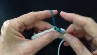 Picking up Stitches From a Slipped Stitch Edge [upl. by Raseta]