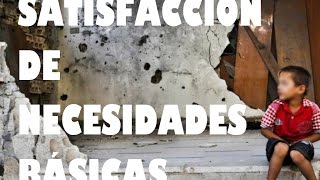 02  Satisfacción de necesidades básicas [upl. by Hearsh809]