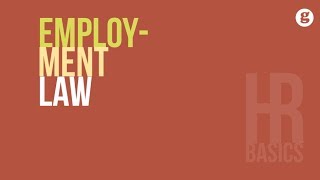 HR Basics Employment Law [upl. by Peedus]