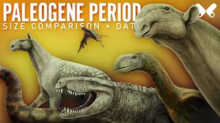 PALEOGENE PERIOD Animals Size Comparison and Data [upl. by Cosenza]