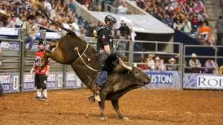 When Cowboys Get Hurt Life As a Bullfighter VIDEO [upl. by Porett]