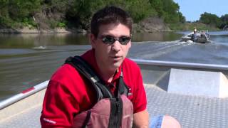 Asian Carp Invade James River [upl. by Rraval]