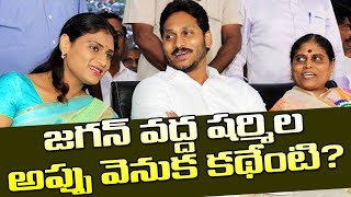 జగన్షర్మిల అప్పుల వెనుక అసలు కథేంటి What Is The Story Behind Jagan And Sharmilas Debits [upl. by Hardner61]