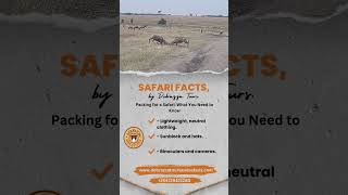 Packing for a Safari What You Need to Know [upl. by Zednanref]