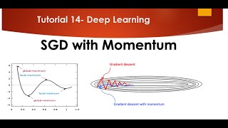 Tutorial 14 Stochastic Gradient Descent with Momentum [upl. by Haig]