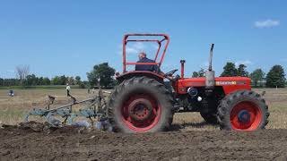 Same Saturno Plowing Match 2018 [upl. by Enenej]