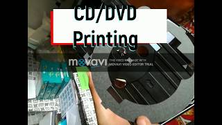 How to print a CDDVD on Epson L805  Tutorial [upl. by Suivatal904]