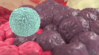 Introduction to NK Cell Immunotherapy with INKmune  Priming NK Cells [upl. by Nylrahc588]