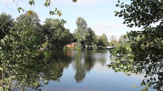 Carp Fishing  Carp and Catfish Holidays Waveney Valley Lakes [upl. by Aisatan]