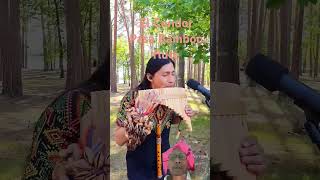 El condor pasa bamboo flute music panflute cover instrumental musica  remix [upl. by Hennahane]