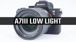 Sony A7III Best Low Light Settings [upl. by Quin46]