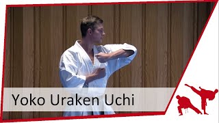 Tutorial Yoko Uraken Uchi [upl. by Hahnert346]