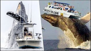 enormes olas de mas de 20 metros captadas en video haciendo temblar a los enormes barcos en altamar [upl. by Nueoht791]