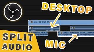 How to Record Microphone and Desktop Sound Separately in OBS [upl. by Inram]