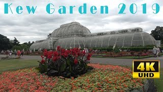 LONDON Kew Royal Botanic Gardens 2019 4K [upl. by Benildis774]