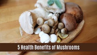 5 Health Benefits of Mushroom [upl. by Norrab240]