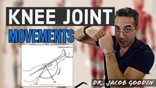 Knee Joint Anatomy Joint Movements [upl. by Xet912]