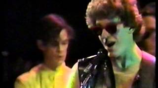 Shes A Beauty  The Tubes live San Francisco 1983 [upl. by Jennette664]