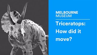 Triceratops How did it move [upl. by Ilajna]