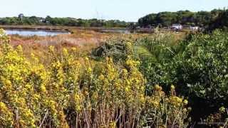 Saline von Ses Salines nahe dem Traumstrand von Es Trenc [upl. by Laughry289]