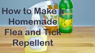 How to Make a Homemade Flea and Tick Repellent [upl. by Nakhsa]