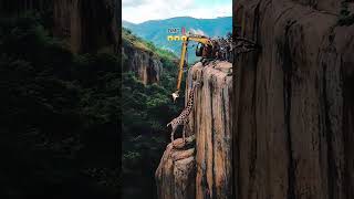 A giraffe on the cliff rescued 😱😱😱 AI generated vid animals rescue viralvideo [upl. by Cantlon201]