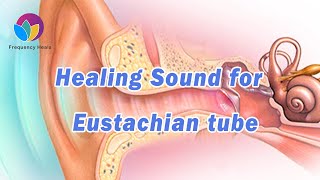 Healing Sound for Eustachian Tube Dysfunction  Relieve Ear Pain amp Reduce Hearing Difficulty [upl. by Oak86]