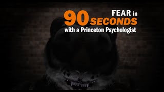 Fear explained in 90 seconds [upl. by Janek265]