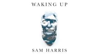 Waking Up with Sam Harris  Looking for the Self 26 Minute Meditation [upl. by Ahsitan707]