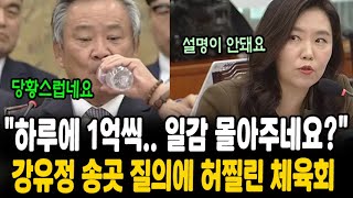 강유정 송곳 질의에 허찔린 대한체육회장 이기흥 quot하루에 1억씩 일감 몰아주네요quot 의혹 제기에 quot낭비 인정당황스럽네요quot 물 벌컥벌컥 ㅋㅋ 목이 타쥬 [upl. by Didi]