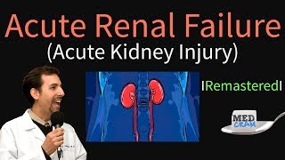 Acute Kidney Injury  Acute Renal Failure Explained Clearly  Remastered [upl. by Riamo]