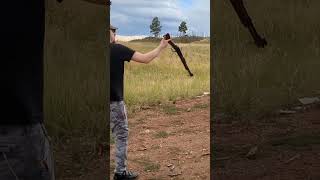 Mares Leg Single Hand Reload Henry 22LR [upl. by Gonzalo]