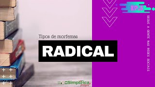 Episódio 2 Tipos de morfemas radical [upl. by Lowis]