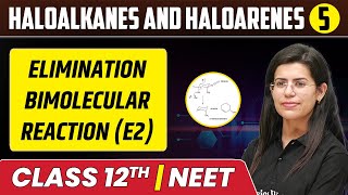 Haloalkanes and Haloarenes 05  Elimination Bimolecular Reaction E2  Class 12thNEET [upl. by Babbie]