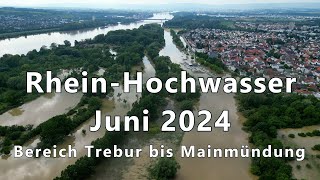 Hochwasser Rhein Juni 2024 [upl. by Oicnaneb]