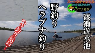 【野釣り渡良瀬遊水地】◆ ヘラブナ釣り ◆２０２３年！ [upl. by Ybrik455]