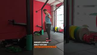 🔗🏋️‍♂️ Shoulder amp Scapular Mobility with Band  🥋 Wushu Performance Exercise Library 🇨🇳 [upl. by Lefty653]