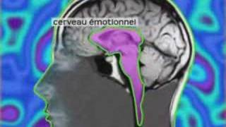 David ServanSchreiber  Le cerveau emotionnel [upl. by Anehsuc]