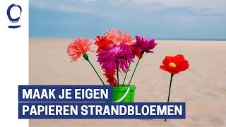 Maak je eigen papieren strandbloem [upl. by Esinek]