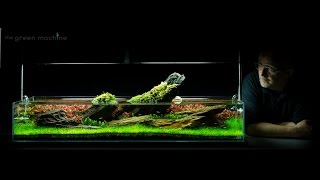 Aquarium Aquascape Tutorial Guide Crimson Sky by James Findley amp The Green Machine [upl. by Cochrane]