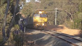 7901V at Maryborough Sat 12 October 2024 [upl. by Yllut524]