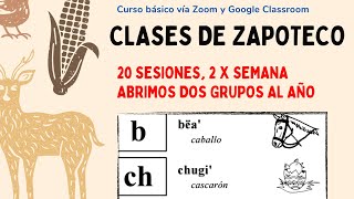 CLASES DE ZAPOTECO [upl. by Zoha]