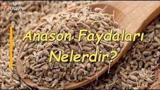 Anason Faydaları Nelerdir [upl. by Archibold]